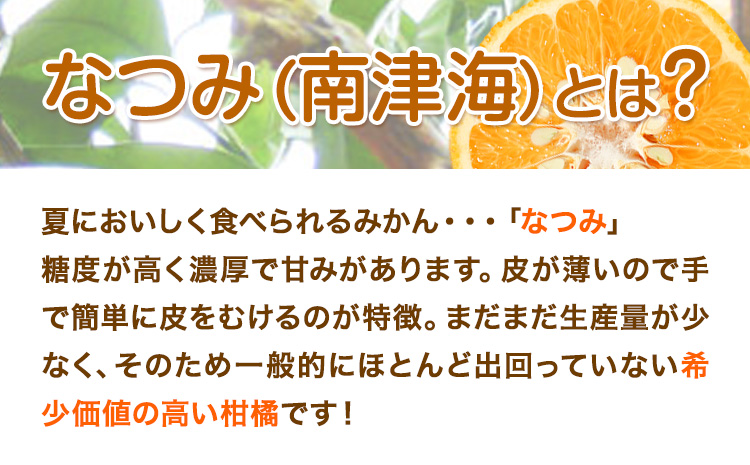 ＜先行予約＞初夏のみかん なつみ 約 3kg 株式会社 魚鶴商店《2026年4中旬-4月下旬頃出荷》 和歌山県 日高川町 みかん なつみ 南津海 柑橘 果物 フルーツ 送料無料