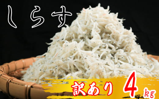 しらす 4kg ( 1kg × 4箱 ) 訳あり 冷凍 ちりめん かちり しらす干し 減塩 釜揚げ ごはん 丼 パスタ チャーハン サラダ 魚 料理 山庄 愛知県 南知多町 師崎