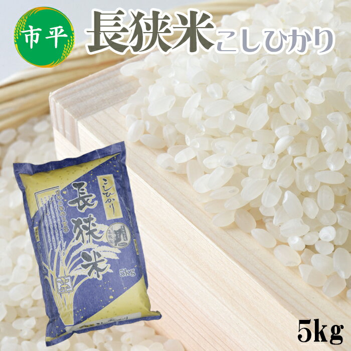 【ふるさと納税】【市平】長狭米 コシヒカリ 5kg [0019-0007]