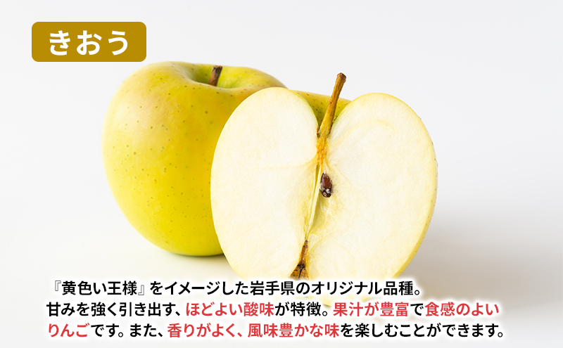 【8月から発送】 りんご 盛岡から「農で人をつなぐ」藤与果樹園：《 訳あり 》 きおう 約3kg 6～11玉 玉数指定不可 詰め合わせ 岩手 盛岡