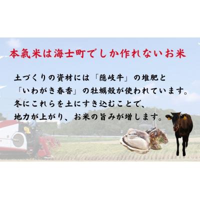 ふるさと納税 海士町 【ふるさと納税】島のブランド米「本氣米」3kg(きぬむすめ) |  | 03
