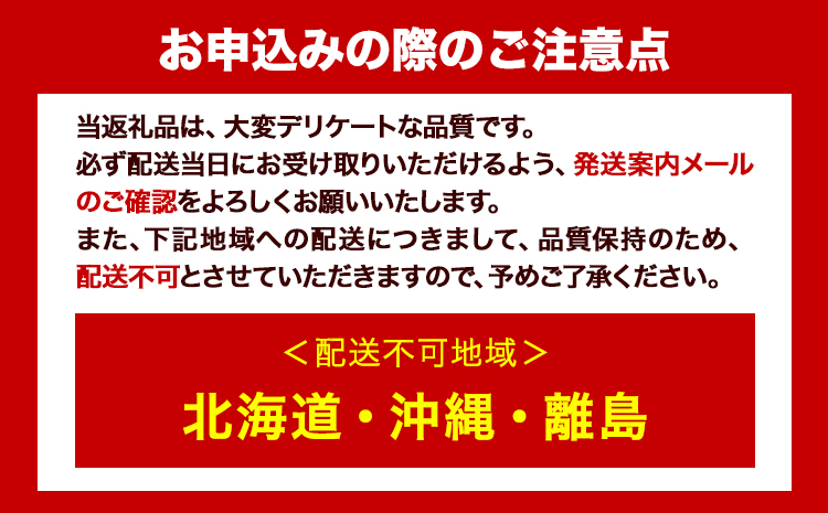 【贈答用】 秀品 和歌山の桃 約2kg (6玉~8玉) m&n果実園 【配送不可地域あり】 《6月中旬-7月下旬頃出荷》和歌山県 紀の川市 モモ 桃 もも 旬 白鳳 日川白鳳 なつっこ 果物 フルーツ 贈り物 ギフト---wsk_cmnk3_k6_23_13000_2kg---