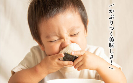 一番摘み有明海産（福岡県） 焼きのり100枚（10枚入り×10袋） 博多海苔 《糸島》[ACG001] とろける一番摘み海苔