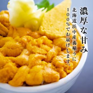 ≪期間・数量限定≫無添加「浜中養殖塩水うに(計50g)」_H0038-001