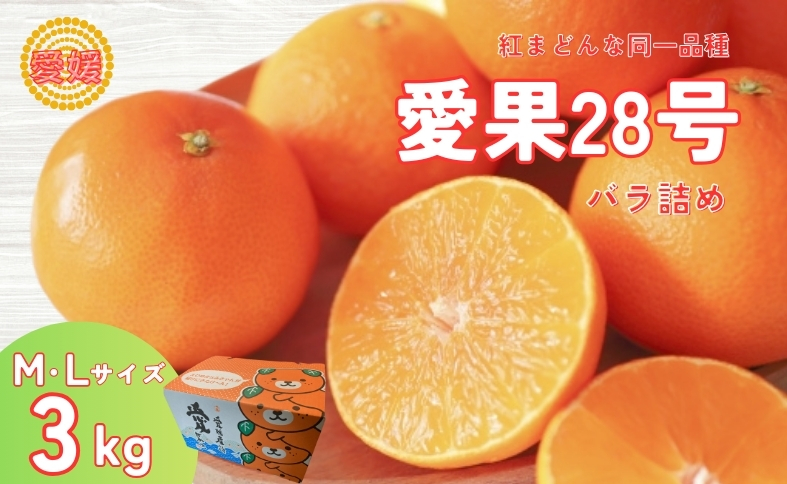 みかん 愛果28号 3kg MLサイズ バラ詰め 紅まどんな同一品種 先行予約 【2026年12月以降順次発送予定】 みきゃん箱 愛媛 数量限定 愛媛県産 人気 柑橘 フルーツ 国産 おすすめ 伊予市｜B533