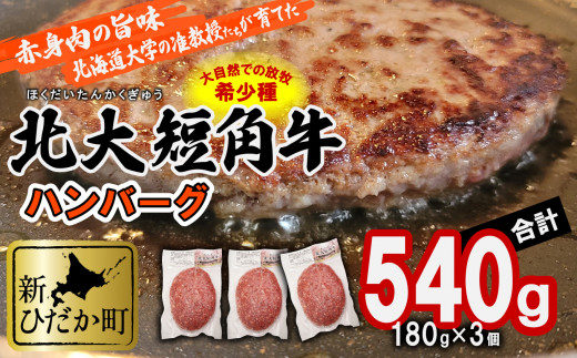 
北海道産 北大 短角牛 ハンバーグ 計 540g (180g×3枚) ＜予約商品＞ 日本短角牛 ハンバーグステーキ 牛肉 希少 北海道大学
