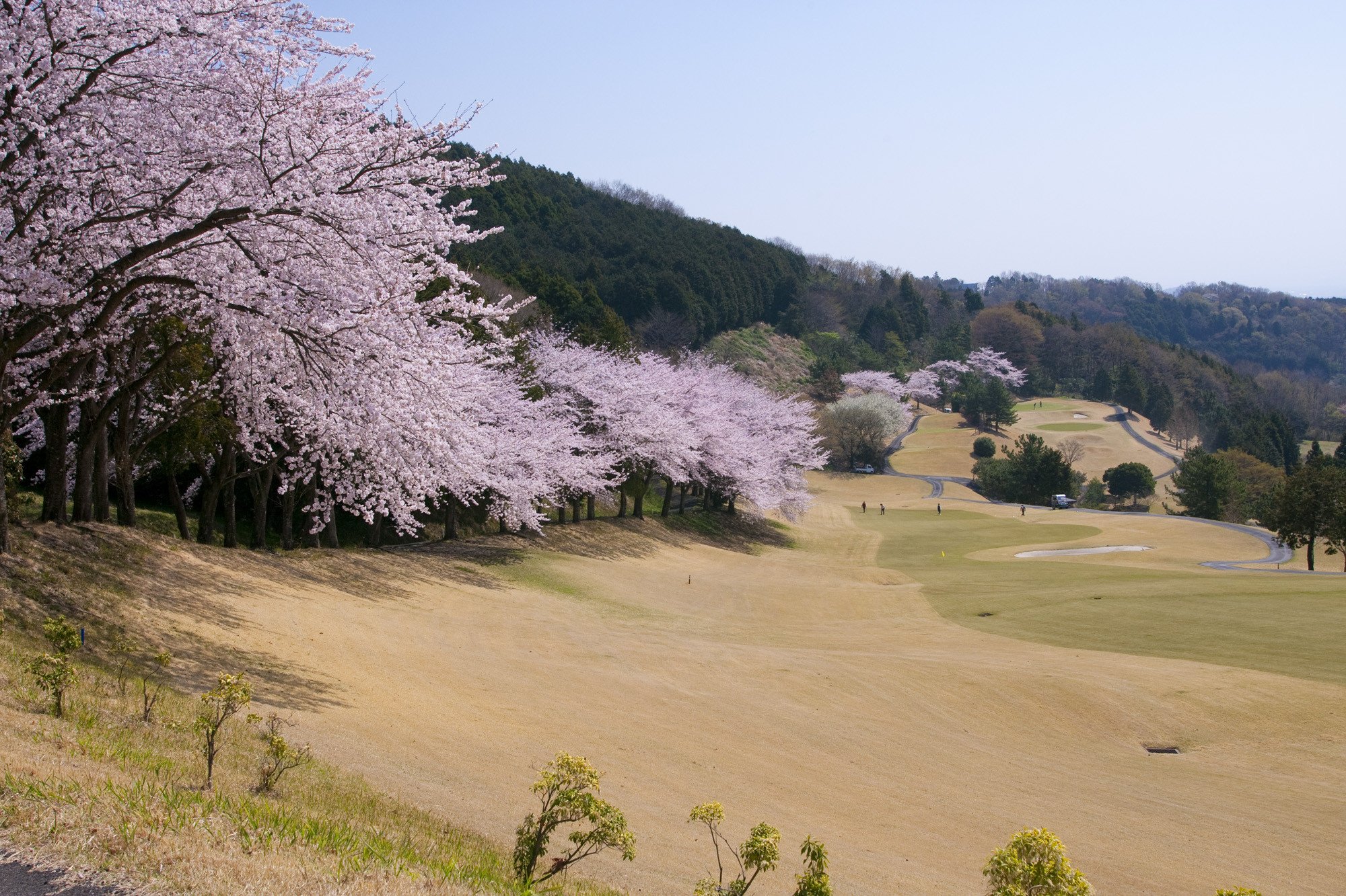 
【太平洋クラブ相模コース】ゴルフ場利用券30,000円分（5,000円券×6枚）
