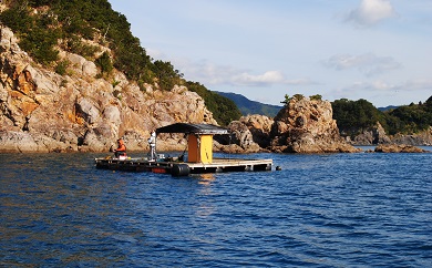 宿毛湾磯・筏釣り券 釣り