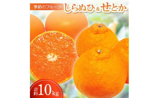 季節のフルーツ「しらぬひ&せとか」計約10kg＜令和8年3月発送＞【1609814】