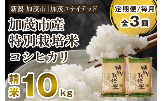 【令和8年産新米先行予約】【定期便3ヶ月毎月お届け】加茂市産 特別栽培米 コシヒカリ 精米 10kg 《10月上旬～順次出荷》 栽培期間中は化学肥料・農薬不使用 新潟米 お米 白米 こしひかり 加茂ユナイテッド