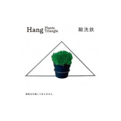 ふるさと納税 幸田町 GRAVIRoN Hang Plants シリーズ Triangle　 酸洗鉄(プランツハンガー)