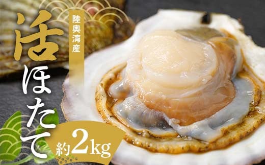 
            陸奥湾産 活ほたて 約2kg 【飛佳丸】 ホタテ ほたて 帆立 活ホタテ 海鮮 貝 貝柱 魚介 青森県 平内町 東北 むつ湾 F21J-259
          