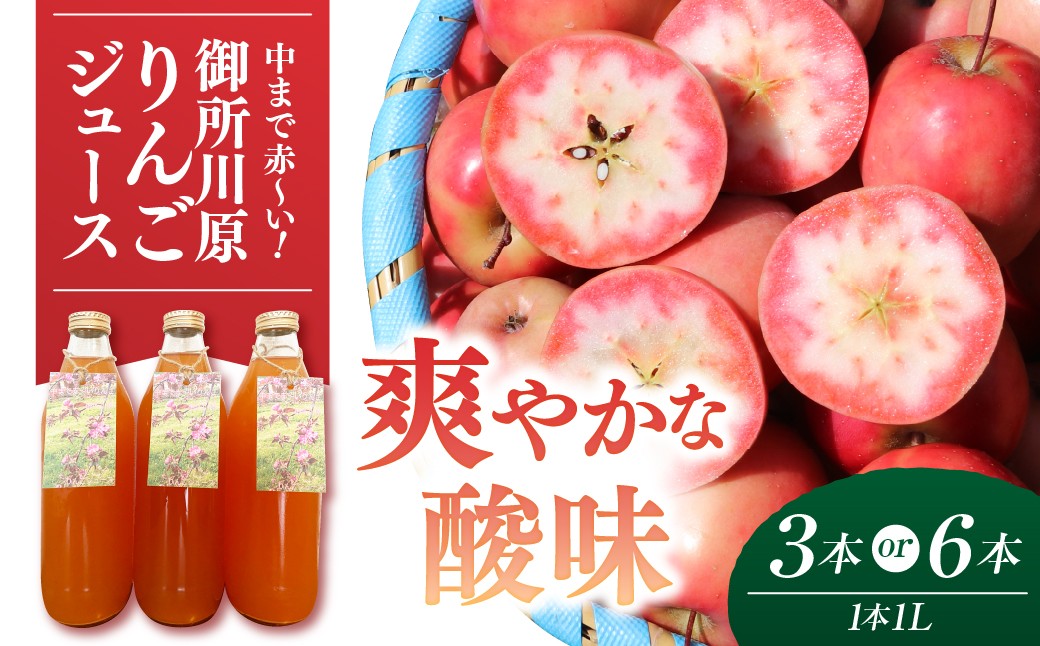 
                  【選べる本数】御所川原 りんごジュース 【1Ｌ×3本 または 1Ｌ×6本】/ ストレート果汁100% 果肉まで赤～いりんご「御所川原」使用 【 ごしょがわら リンゴジュース 果汁ジュース フルーツジュース 林檎 飲料 青森県 五所川原市 】
                