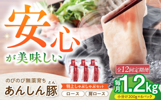 【12回定期便】あんしん豚 特上しゃぶしゃぶセット 豚肉 ロース 国産 白川町 / 藤井ファーム [AWAF012]