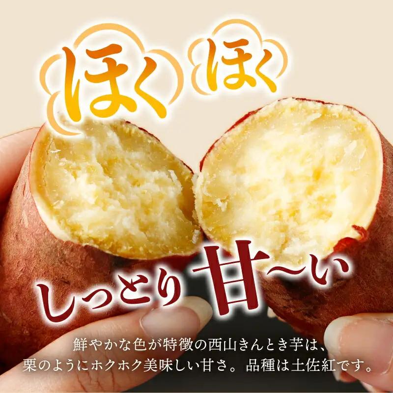【令和９年２月お届け】西山きんとき芋（さつまいも） 訳あり 10kg ブランド芋 高知県室戸市 さつまいも サツマイモ さつま芋 焼き芋 やきいも ヤキイモ 野菜 大小混合 傷 故郷納税 送料無料 t