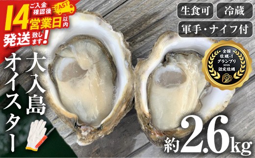 ＼牡蠣1グランプリ最高金賞受賞／ 真ガキ 大入島オイスター (約2.6kg) 牡蠣 かき カキ 貝 海鮮 魚介類 冷蔵 生食可 シングルシード 養殖 大分県 佐伯市 スピード発送【ED09】【(合)新栄丸】