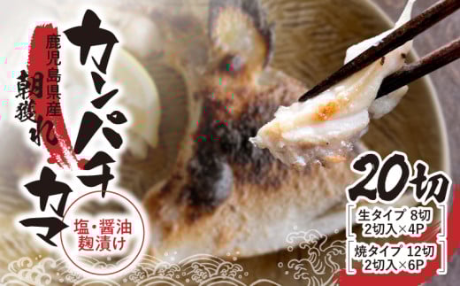 487-1 カンパチカマ塩・醤油麹（こうじ）漬け20切　KN037-001-02