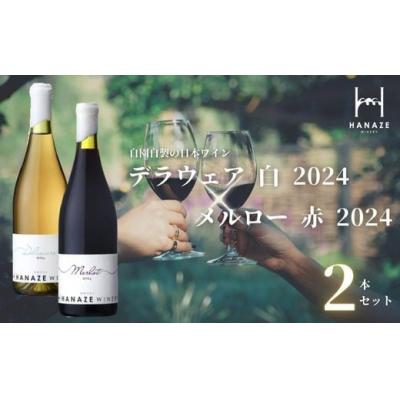 ふるさと納税 錦江町 【2本セット】花瀬ワイン デラウェア〈白〉+メルロー〈赤〉 無濾過 2024(No.2130)