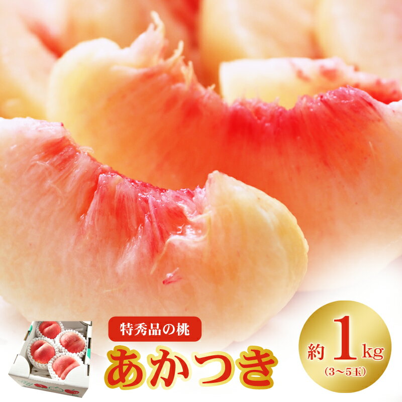 【ふるさと納税】No.2434もも「あかつき」特秀品約1kg【2025年発送】先行予約 桃 福島の桃 約1kg 白桃 はくとうフルーツ 果物 デザート 旬 モモ ももクール便 福島市 福島県産 1万円以下 返礼品 お取り寄せ 菅野房吉商店
