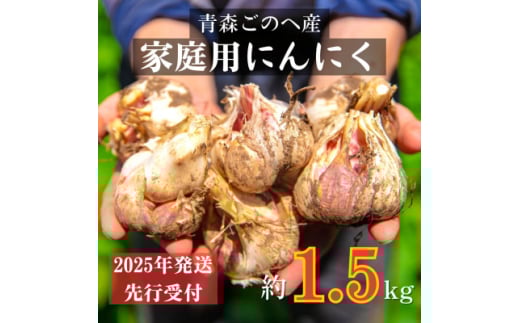 ＜先行受付:2025年7月より発送＞青森ごのへ町産にんにく　家庭用土付きLサイズ以上 約1.5kg【1317794】