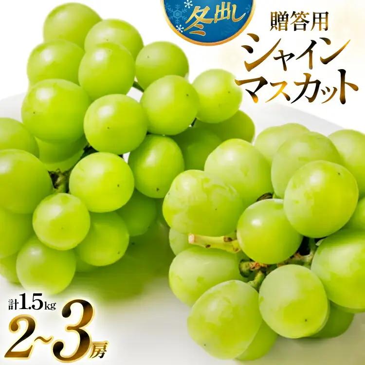 【期間限定発送】 2026年 冬出し 贈答用 シャインマスカット 1.5kg (2～3房)