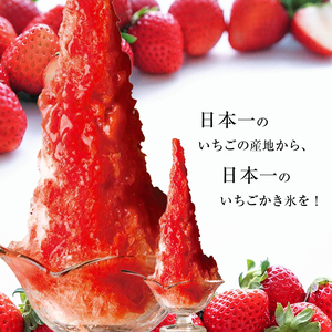 【先行予約】寿氷 夏の 八重洲 6 シックス　6種類 食べ比べ セット スモール 真岡市 栃木県
