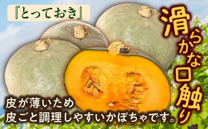 かぼちゃ カボチャ とっておき  北海道産 足寄町 北海道
