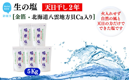 天日干し２年 火入れしない生の塩 「極楽塩」 1kg×5袋 金箔 貝カルシウム入り 食べる楽しさを極め 食塩 食卓塩 海塩 調味料