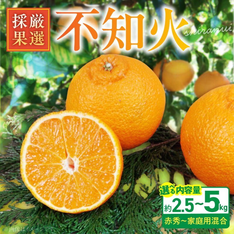 【ふるさと納税】【2027年先行予約】 【限定】 不知火 選べる 容量 約 5kg 2.5kg 赤秀 家庭用 混合 厳選採果 庄助農園 こだわり 熟成 濃厚 プリプリ 食感 果汁 甘さ 酸味 手作業 デコポン 柑橘 フルーツ くだもの デザート お取り寄せフルーツ 和歌山県 湯浅町 送料無料