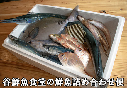 高知県産 鮮魚 詰め合わせ便 4kg  谷鮮魚食堂 刺し身 煮付け 内臓処理済み 産地直送 生魚