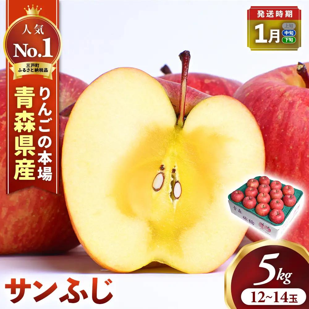 青森県産りんご サンふじ 約5kg 1月中旬～ りんご