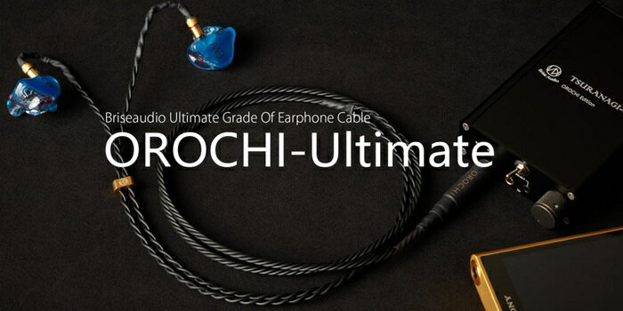 【ふるさと納税】Brise Audio ブリスオーディオ 高級 高額 音響 OROCHI-Ultimate／イヤフォンリケーブル