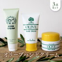 【ふるさと納税】オリーブハンドクリーム3点セット【SM2】 | 化粧 コスメ 美容 人気 おすすめ 送料無料