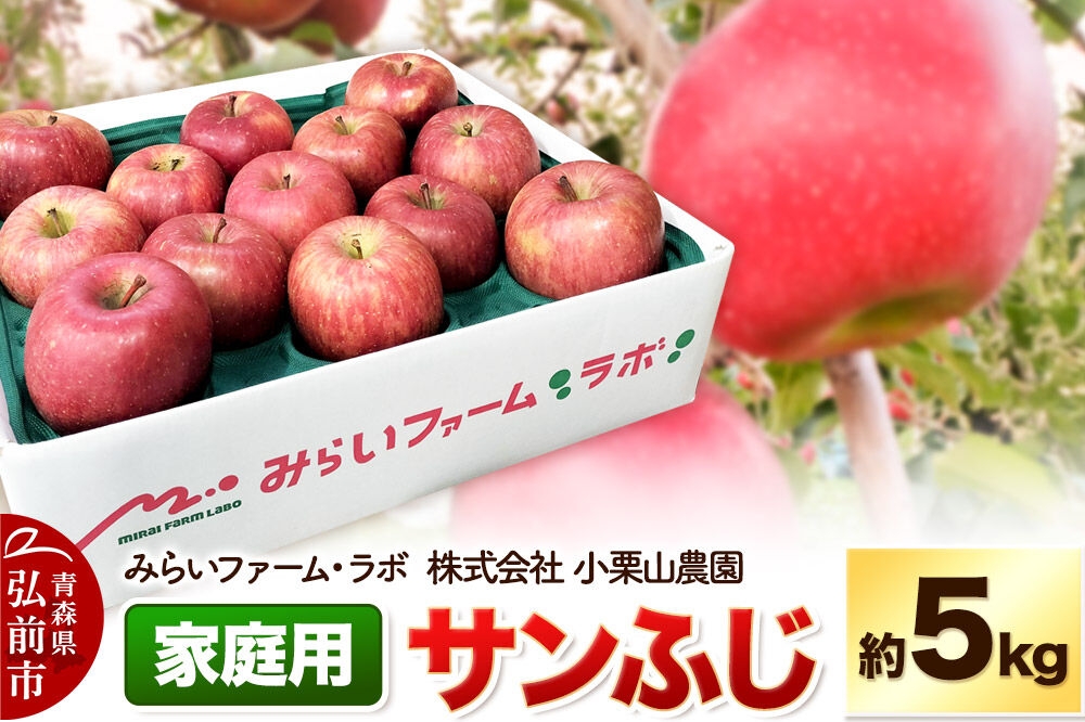 
                  【26年12月発送】りんご【家庭用】サンふじ 約5kg 先行受付 [先行予約 アップル おいしい ふじ りんご 果実 果物 フルーツ 赤色 美味 林檎]
                