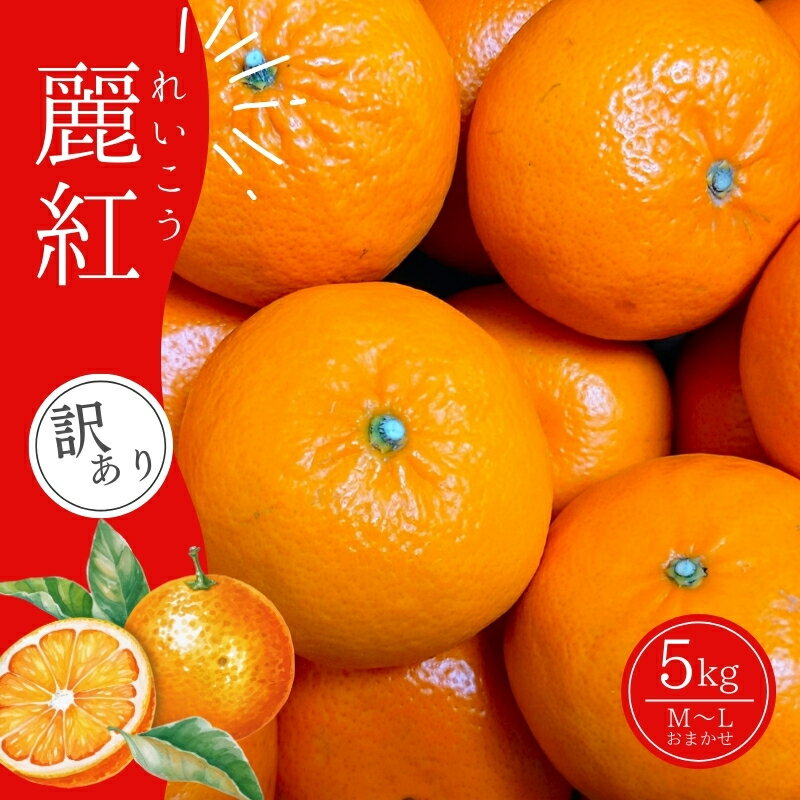 【ふるさと納税】 麗紅 前地農園の麗紅 (れいこう) 5kg M-L サイズおまかせ ご家庭用【2026年2月初旬から2月中旬までに順次発送】 家庭用 わけあり ワケアリ みかん ミカン 蜜柑 フルーツ 果物 くだもの 産地直送 甘い ジューシー 数量限定 送料無料