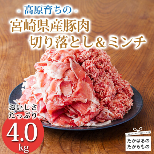 《寄付金14,000円で4kg！》国産 豚肉切り落とし＆豚肉ミンチ 大容量豚肉2種詰め合わせセット 合計4000g ワンストップオンライン対応 TF0767-P00070