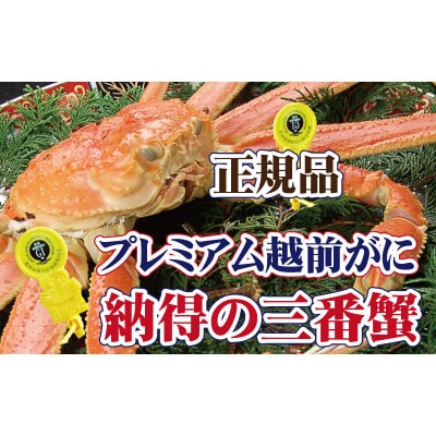 桐箱入り!三番蟹　納得のプレミアム越前がに × 1杯 ≪浜茹で≫【12・1月発送分】【配送不可地域：離島】【1264273】