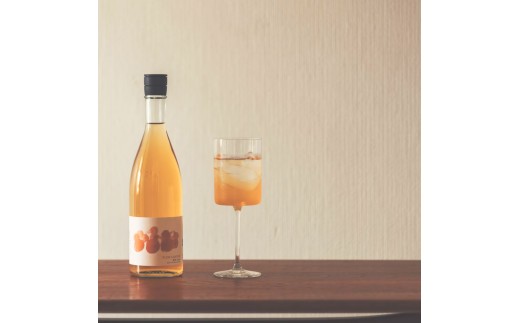 真澄「うめ酒」「ゆず酒」 720ml×2本 梅酒 柚子酒 ゆずのお酒 梅のお酒 リキュール 飲み比べ 果実酒 自家製焼酎 国産梅 柚子果汁 甘酸っぱい 爽やか 芳醇 甘さ控えめ 長野県 信州 富士見町