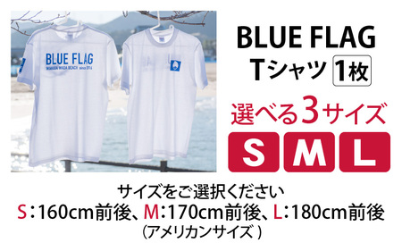 BLUE FLAG Tシャツ M 