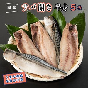 干物 サバ開き 半身 カジマ 特大 肉厚 さば 鯖 高級 焼き魚_AF037