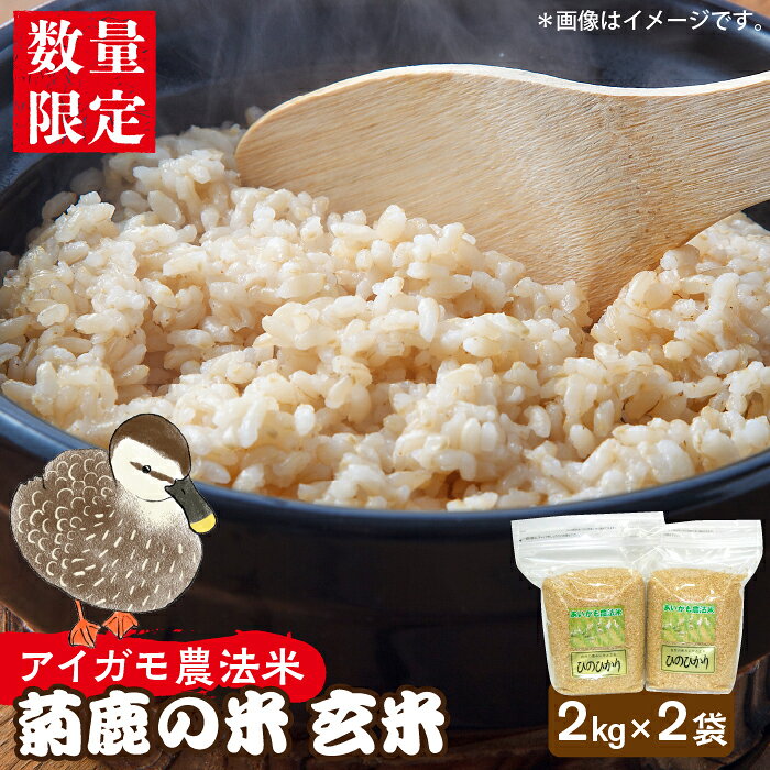 【ふるさと納税】〈令和7年度産米〉菊鹿の米 アイガモ農法米 玄米 2kg×2袋【有限会社 あそしな米穀】[ZBI001] 米 こめ コメ お米 無農薬 げんまい 5kg 以下 4kg ヒノヒカリ ひのひかり 令和7年