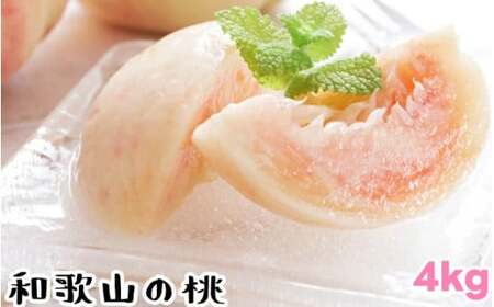 【夏の美味】 【和歌山ブランド】 フルーツ王国 和歌山の 桃 12～16玉入り（約4kg） 品種おまかせ / 桃 もも フルーツ くだもの 果物 果実 お中元 お供え お盆 和歌山 ※北海道・沖縄・その他離島への配送不可 ※2026年6月中旬～7月下旬に順次発送 【ard501-r-4A】