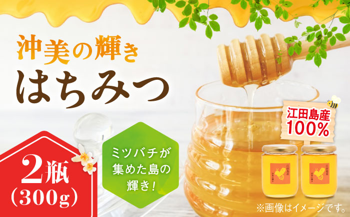 まじりっけなし！江田島産100％!はちみつ『沖美の輝き』300g×2本 ハチミツ ハニー 蜂蜜 国産 広島 江田島市/はつはな果蜂園 [XCD004] 調味料