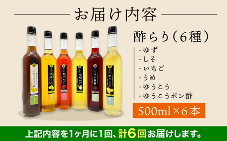【6回定期便】 【飲む玄米酢】酢らり 大瓶6種セット（5種＋ポン酢）＜川添酢造＞[CDN142] ポン酢