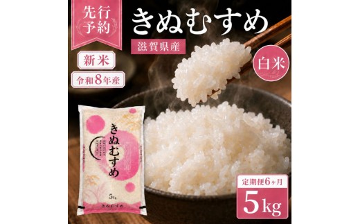 
                  【令和8年産】 米 定期便 近江米 白米 5kg 先行予約 新米 きぬむすめ 6回定期便 精米 こめ コメ お米 ご飯 キヌムスメ 米定期便 6か月定期便 6ヶ月定期便 6回 6ヶ月 6か月 滋賀県 豊郷町
                