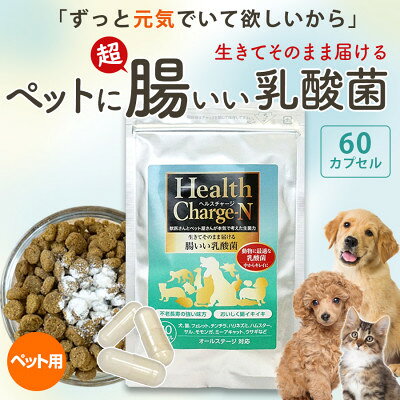 【ふるさと納税】ペット用乳酸菌サプリ ヘルスチャージN 60カプセル【1755626】