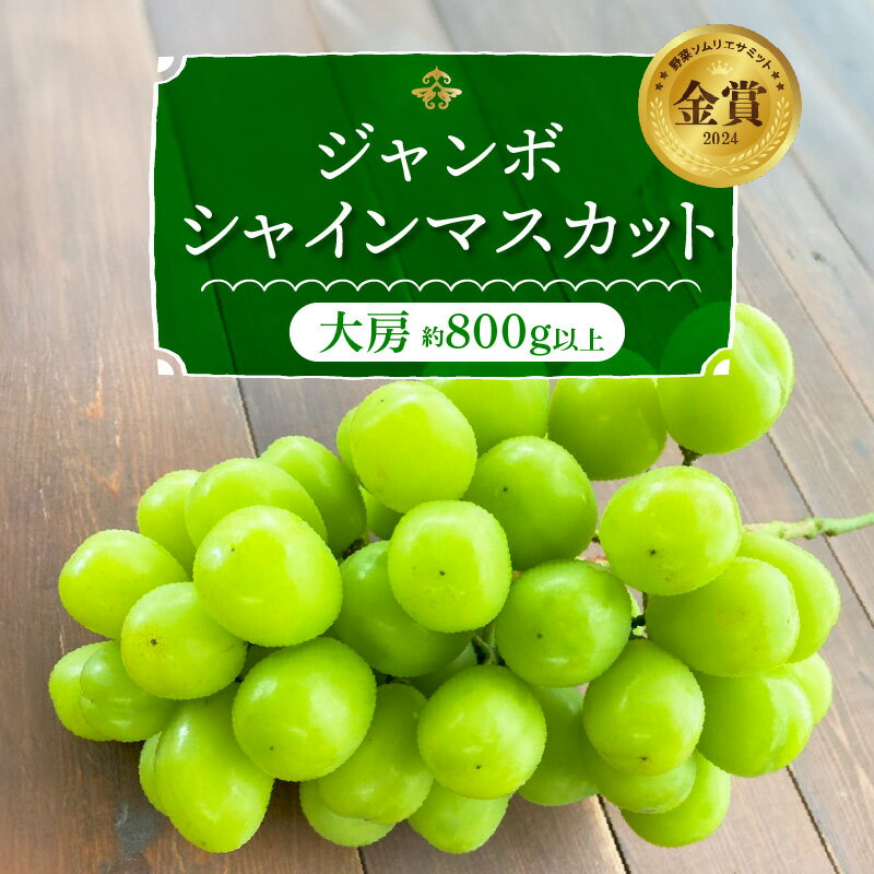 【ふるさと納税】 シャインマスカット 大房 800g以上 1房 食べ応え十分 ジャンボサイズ 冷蔵 【個数限定】 長田農園 送料無料