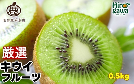 キウイ 厳選 0.5kg+250g（痛み補償分） / キウイフルーツ 高級 和歌山 ※2025年11月中旬～2026年6月中旬に順次発送 ※北海道・沖縄・離島への配送不可【ikd505-p-0d5】