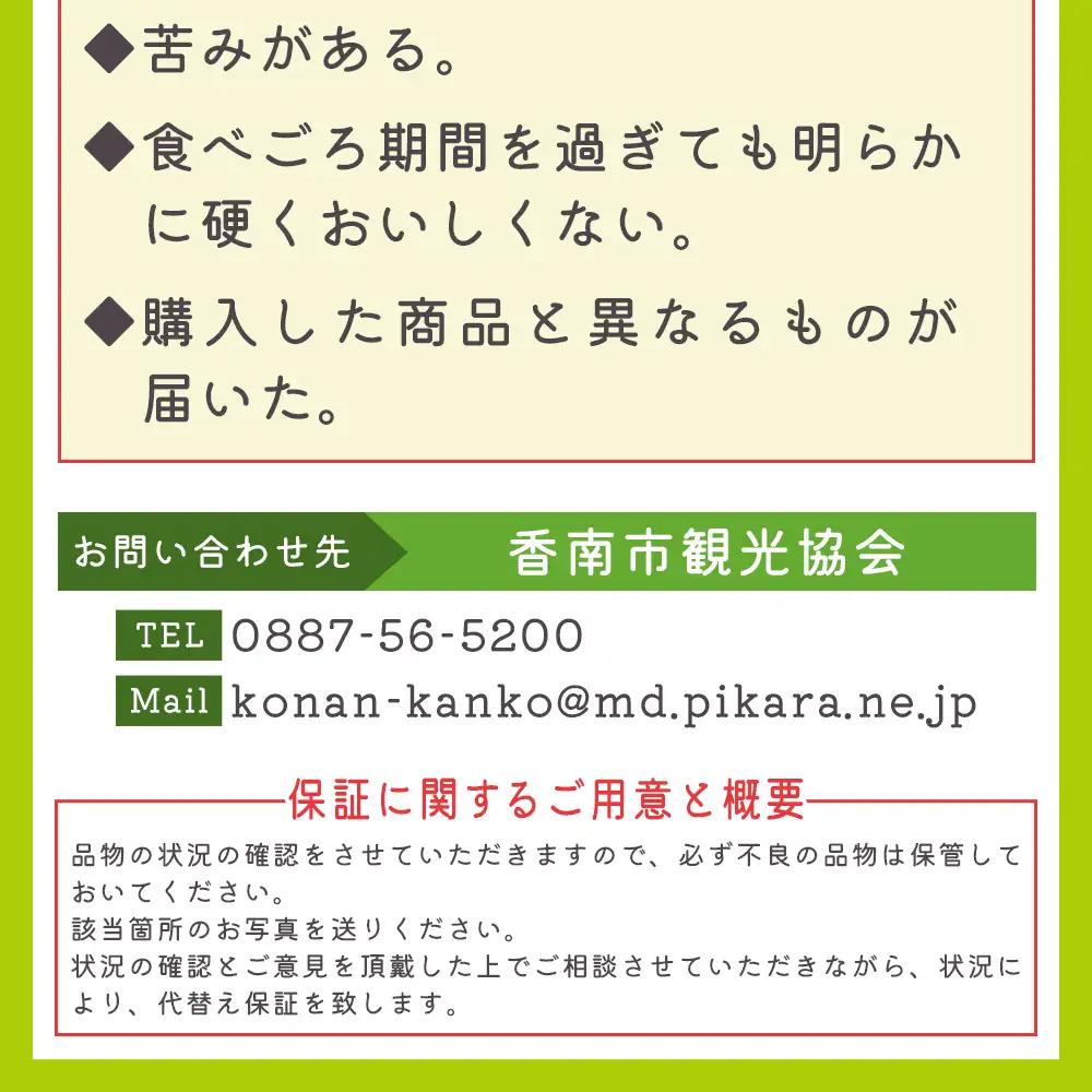 【発送開始】マスクメロン(家庭用) 2玉入 青肉品種 高級メロン！ ／ マスクメロン 果物 フルーツ ギフト 農家直送 tn-0025