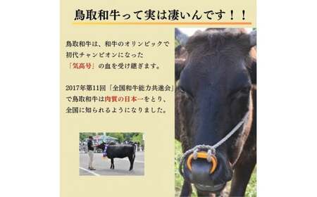 鳥取和牛 赤身焼肉 1.2kg ( 600g × 2 ) 国産 牛肉 赤身 和牛 黒毛和牛 ブランド牛 焼肉 焼き肉 肉 鳥取県 倉吉市 KR1450